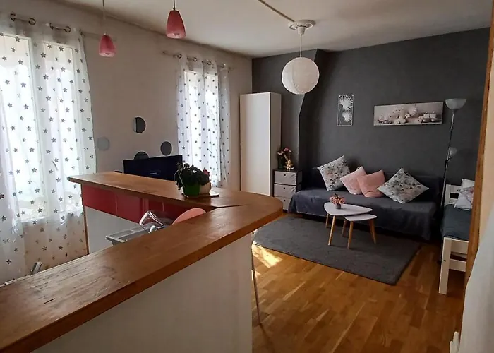 Appart Duplex Montsouris Paris14